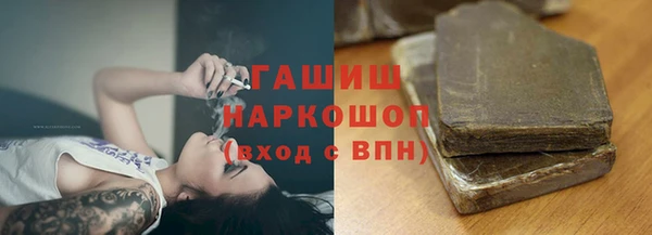 стаф Аркадак