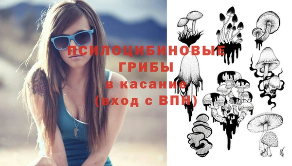 прущие крисы Каменногорск