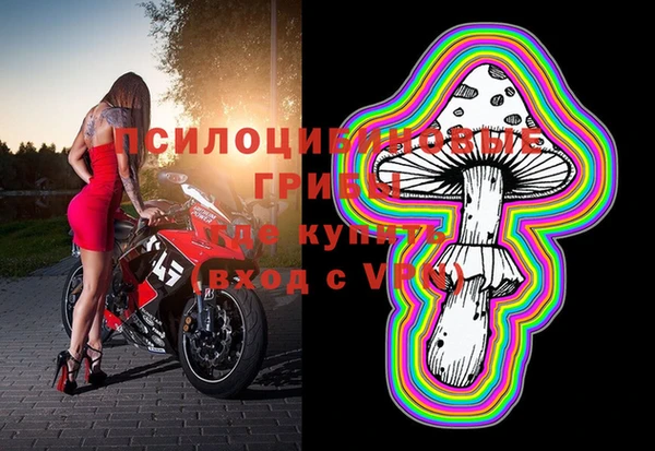 прущие крисы Каменногорск