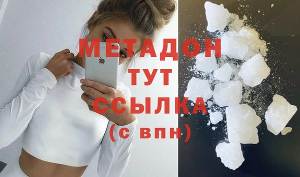 стаф Аркадак
