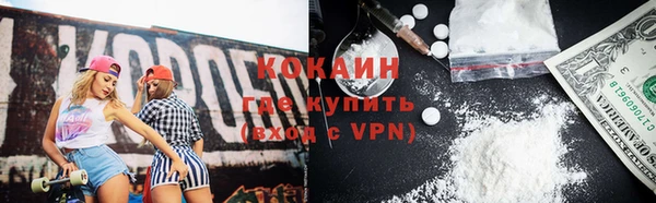 стаф Аркадак
