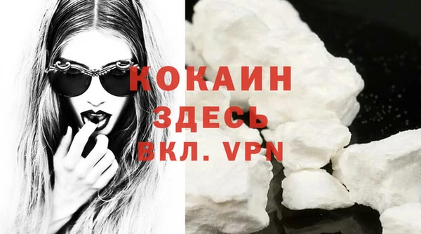 стаф Аркадак