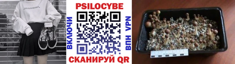 Галлюциногенные грибы Magic Shrooms  мориарти наркотические препараты  Ноябрьск 